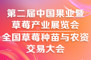 2025第二屆中國合肥果業(yè)暨草莓產(chǎn)業(yè)展覽會|全國草莓種苗與農(nóng)資交易大會